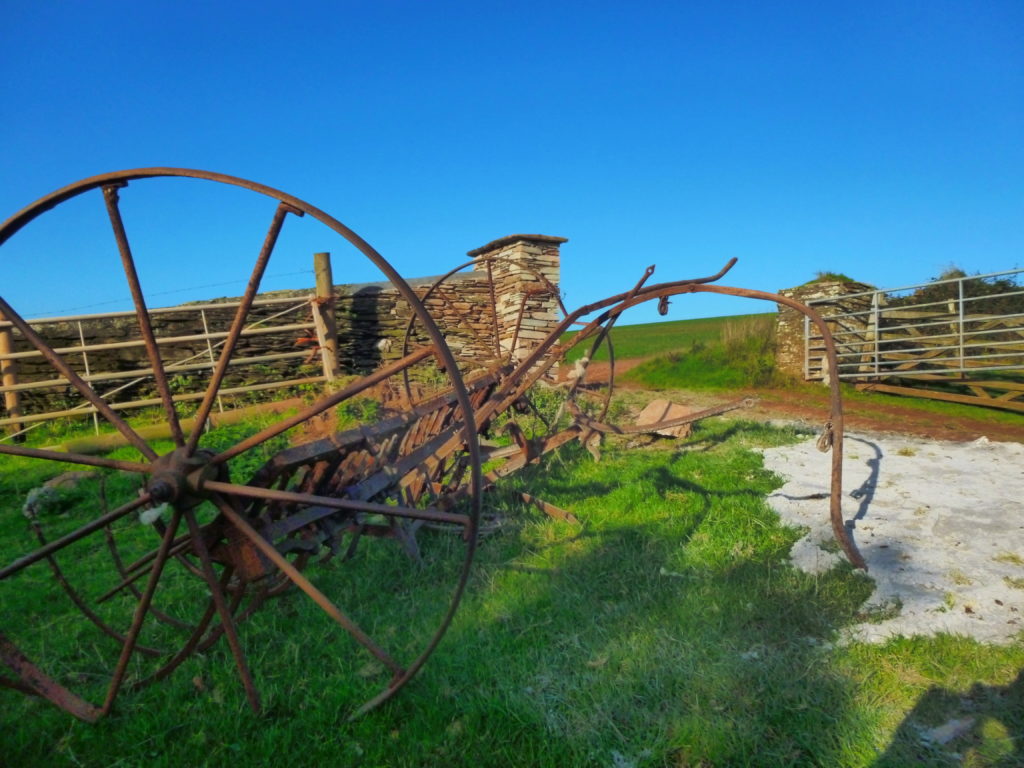 Old Hay Rake