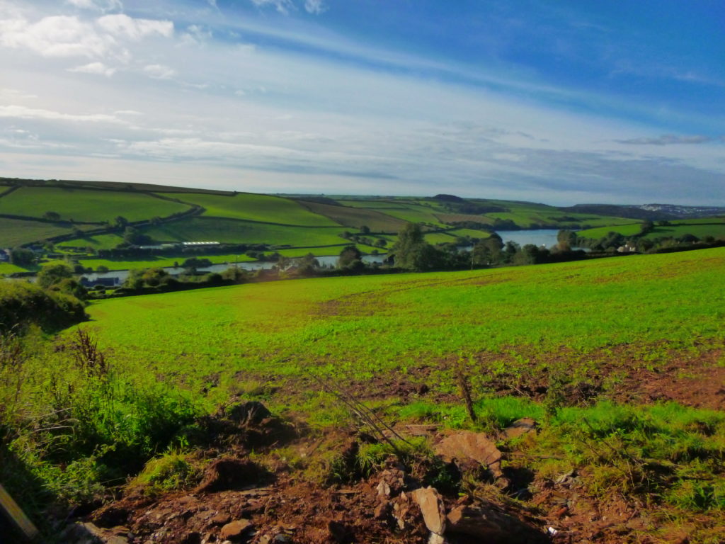 Frogmore Estuary